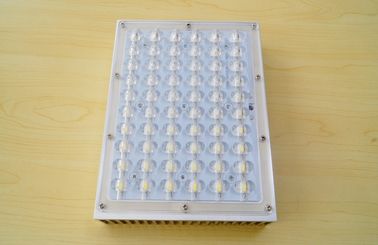 لوازم جانبی نور LED 60W در فضای باز 1W رهبری 140lm - 150lm، ضد آب